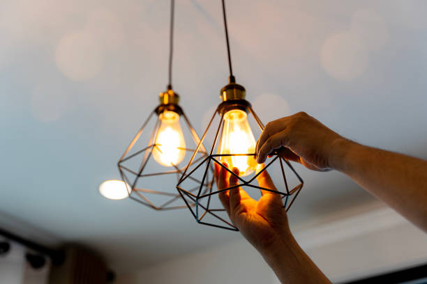 Best Electric Panel Repair  in Pollock Pines, CA